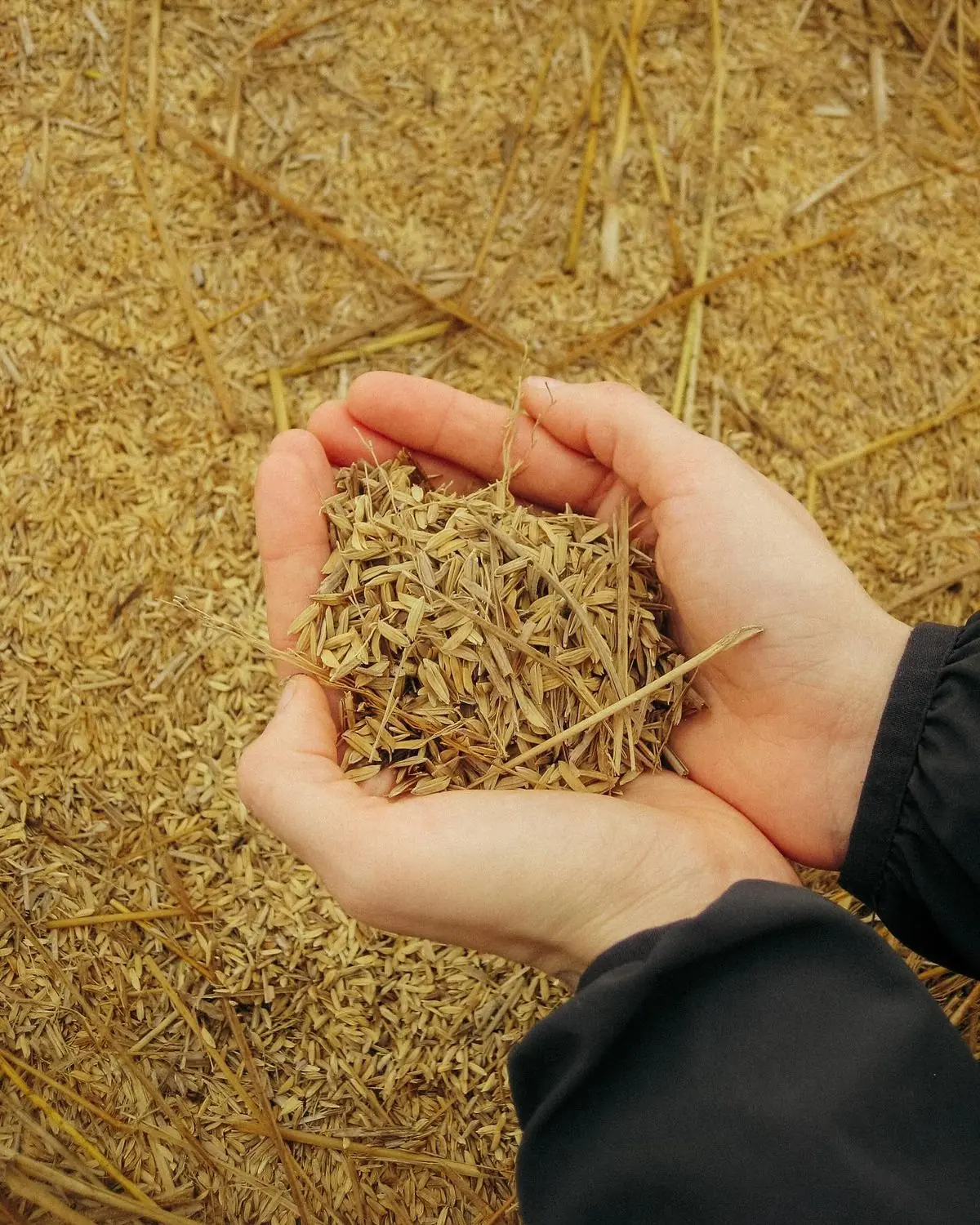 bằng cách di chuyển một vật chỉ thị